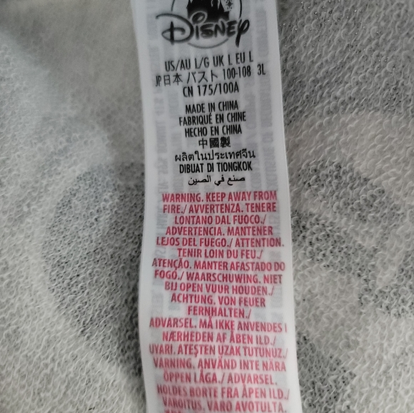 Disneyland hoodie and sweatpants - Picture 5 of 10